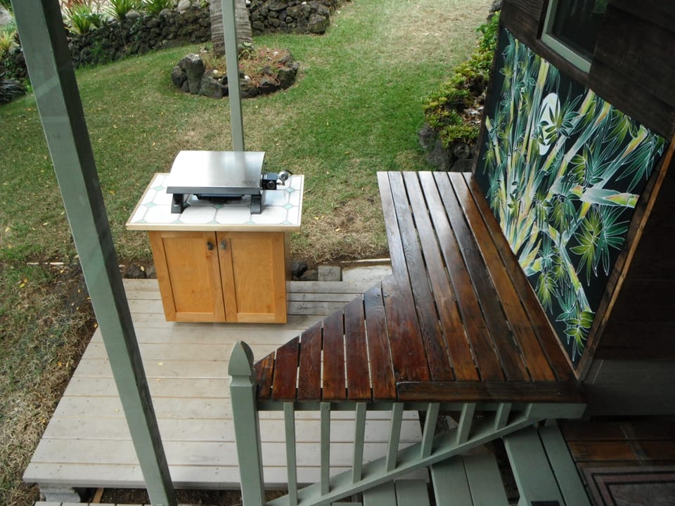 Newly compleated cook out area