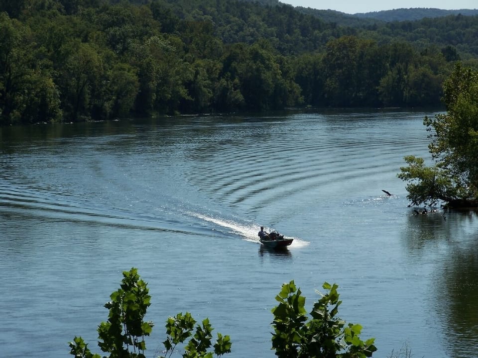 Try your luck at trout fishing