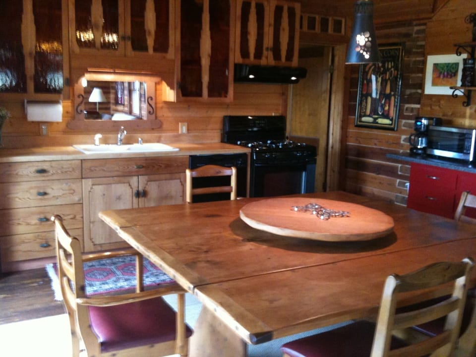 Modern kitchen mixed with authentic historic log home.