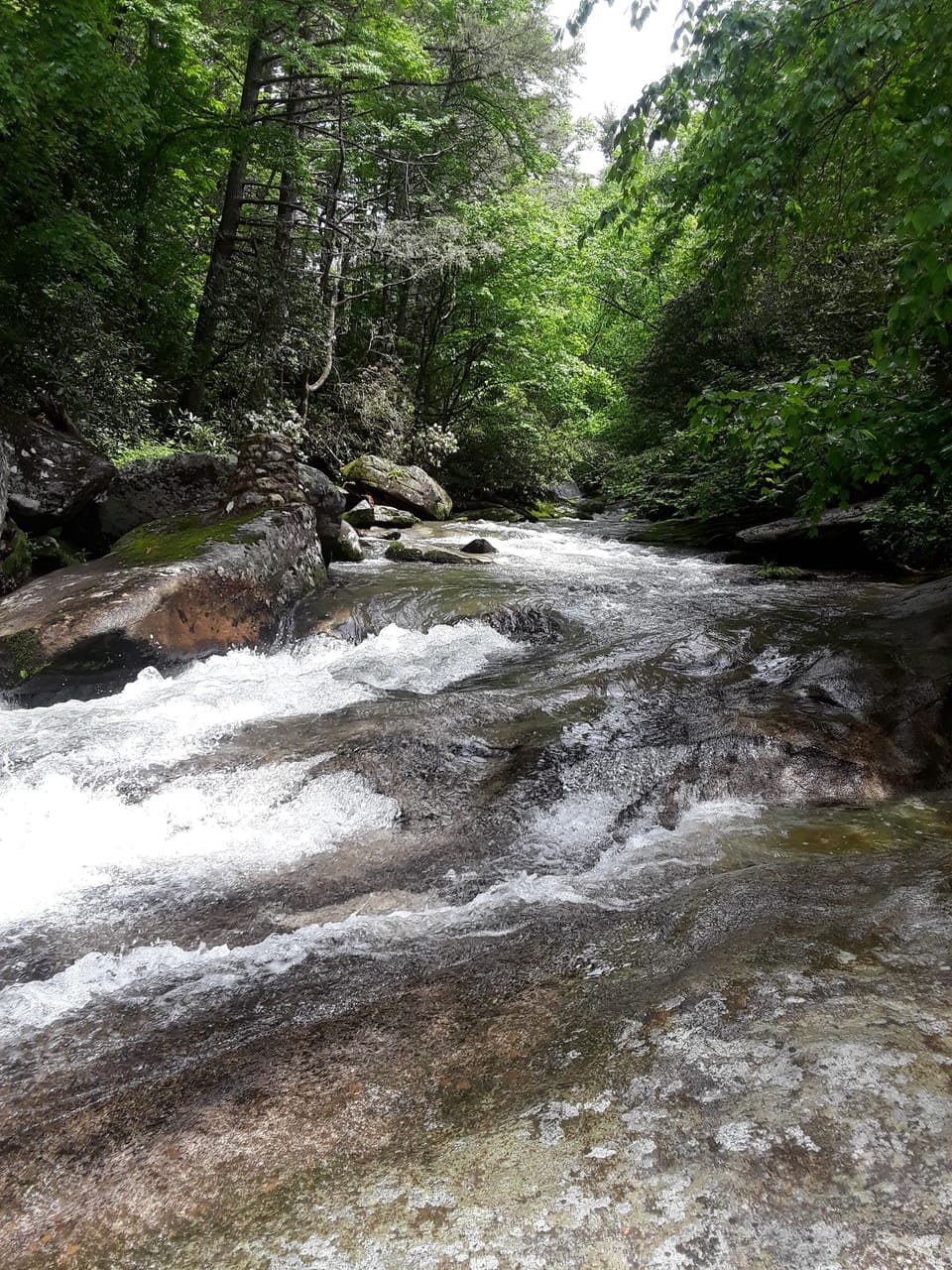 beautiful stream in the nearby area