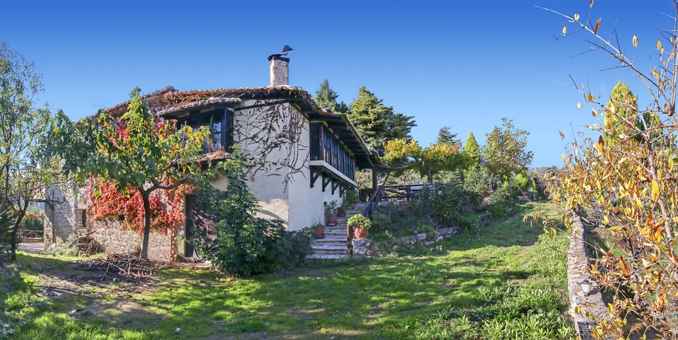 south side of the house