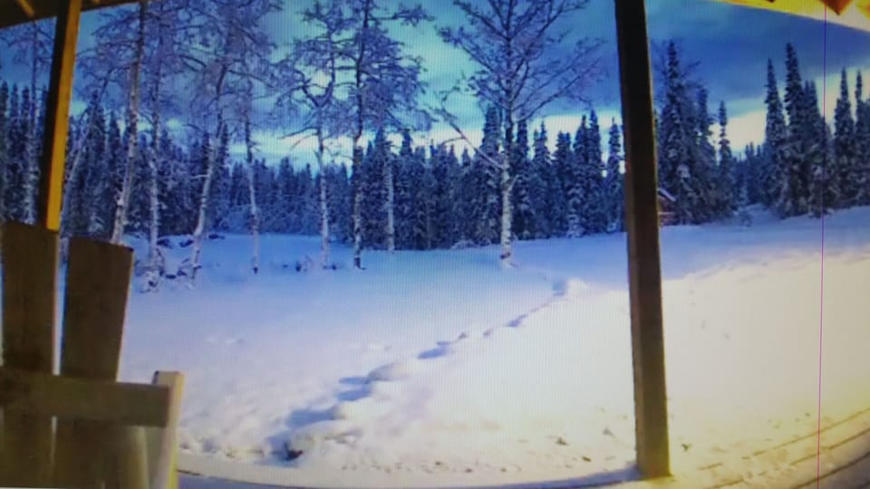 BEAUTIFUL view from your Front Porch!