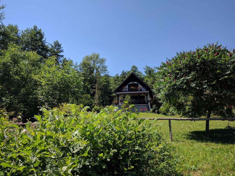 external view