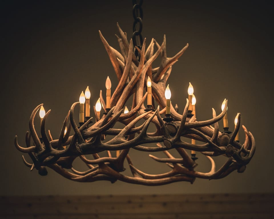 Enjoy the modern and elegant decor.