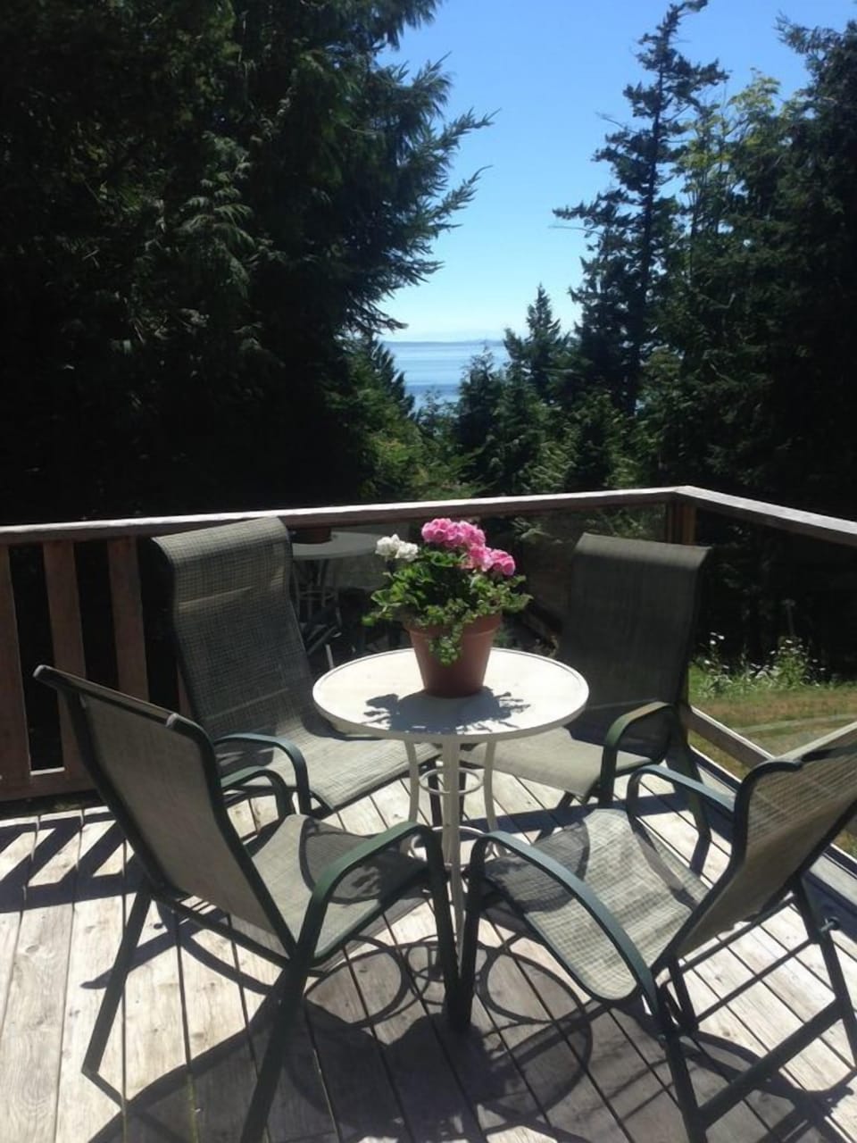 Super sunny deck with ocean outlook through the trees.