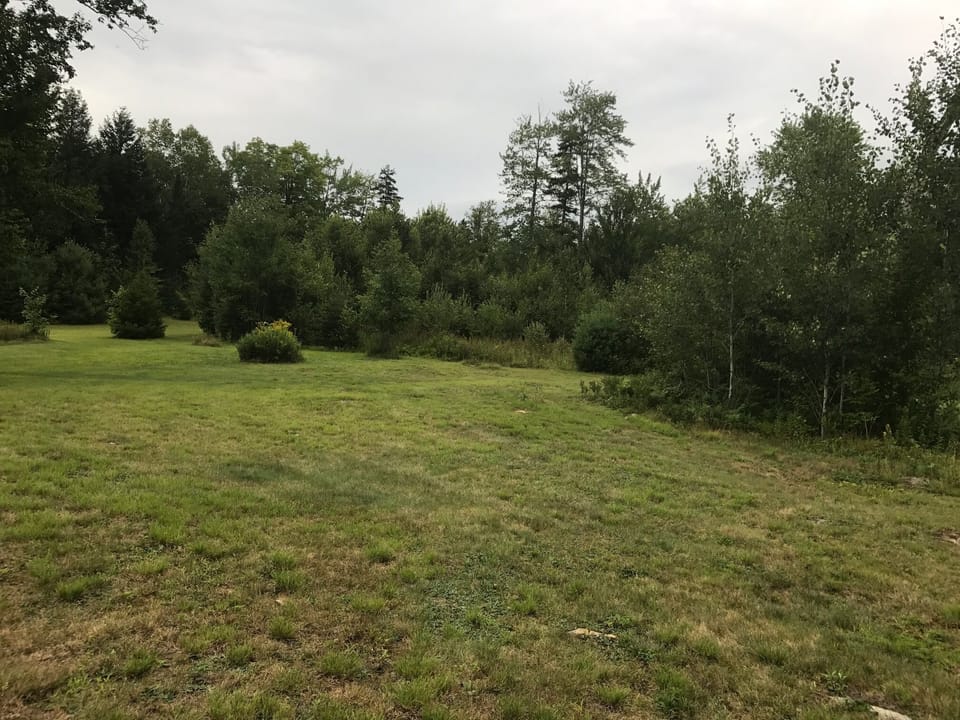 The yard - wide open and great for games.