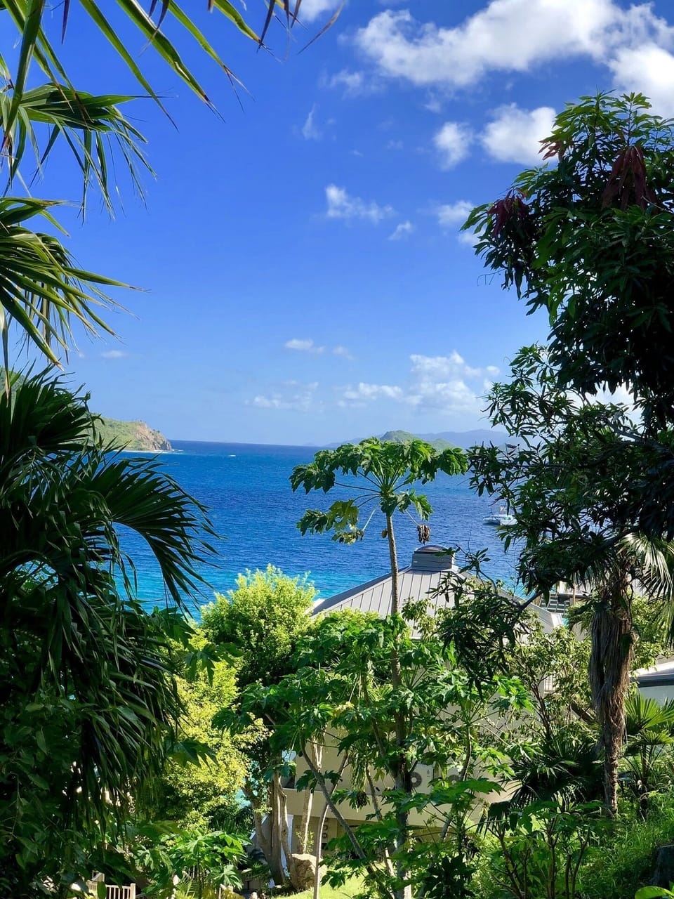 Balcony Views!