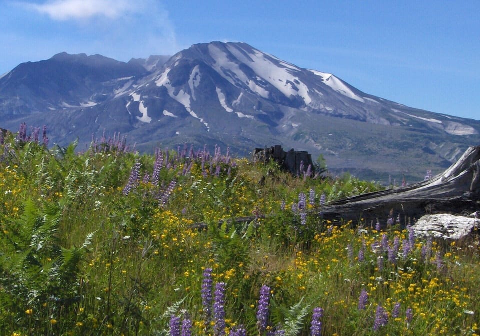 Explore Mount St Helen.