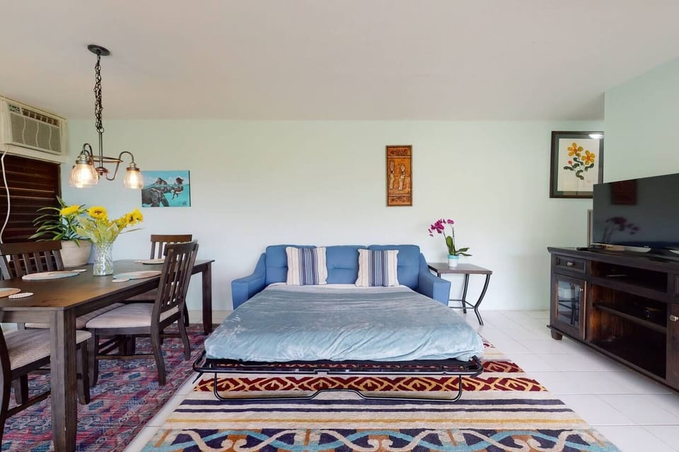 Queen sofa bed