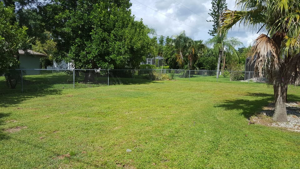 Peek at the back yard