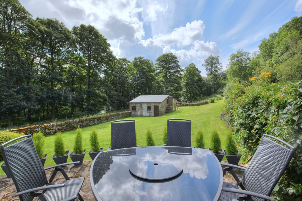 View across the garden