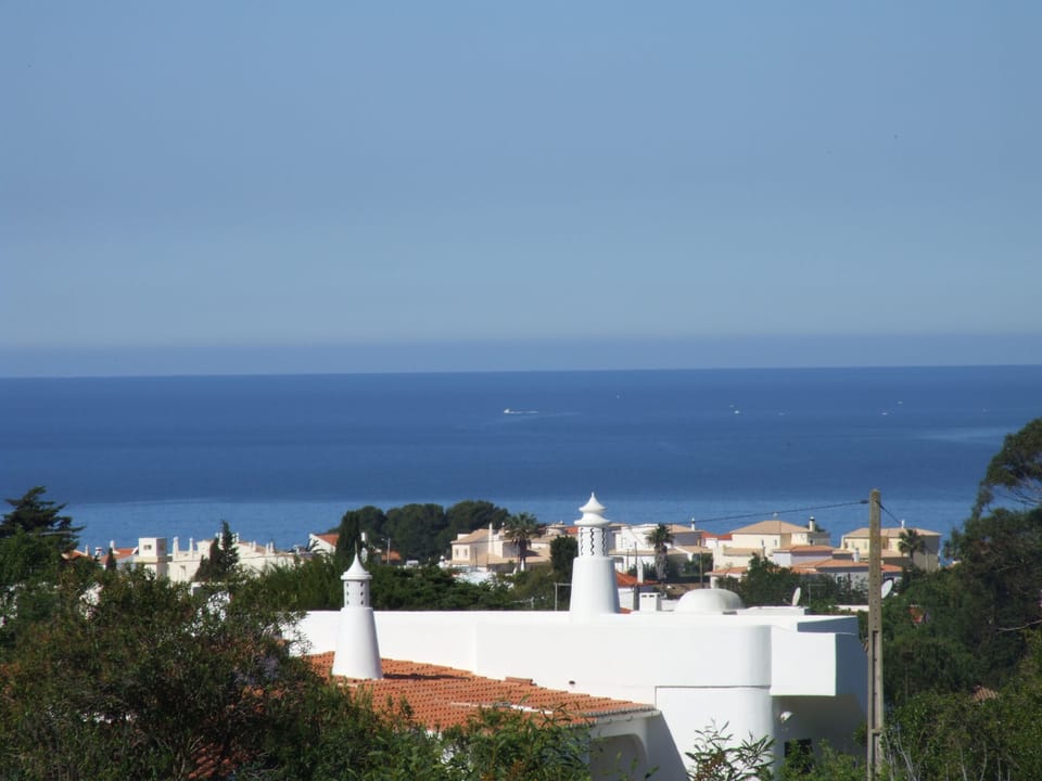 Amazing views of sea from the terraces. Mountain views and along the coast.