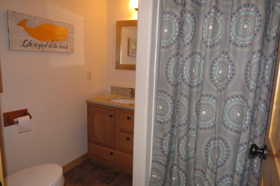 Down Stairs Bathroom With Shower