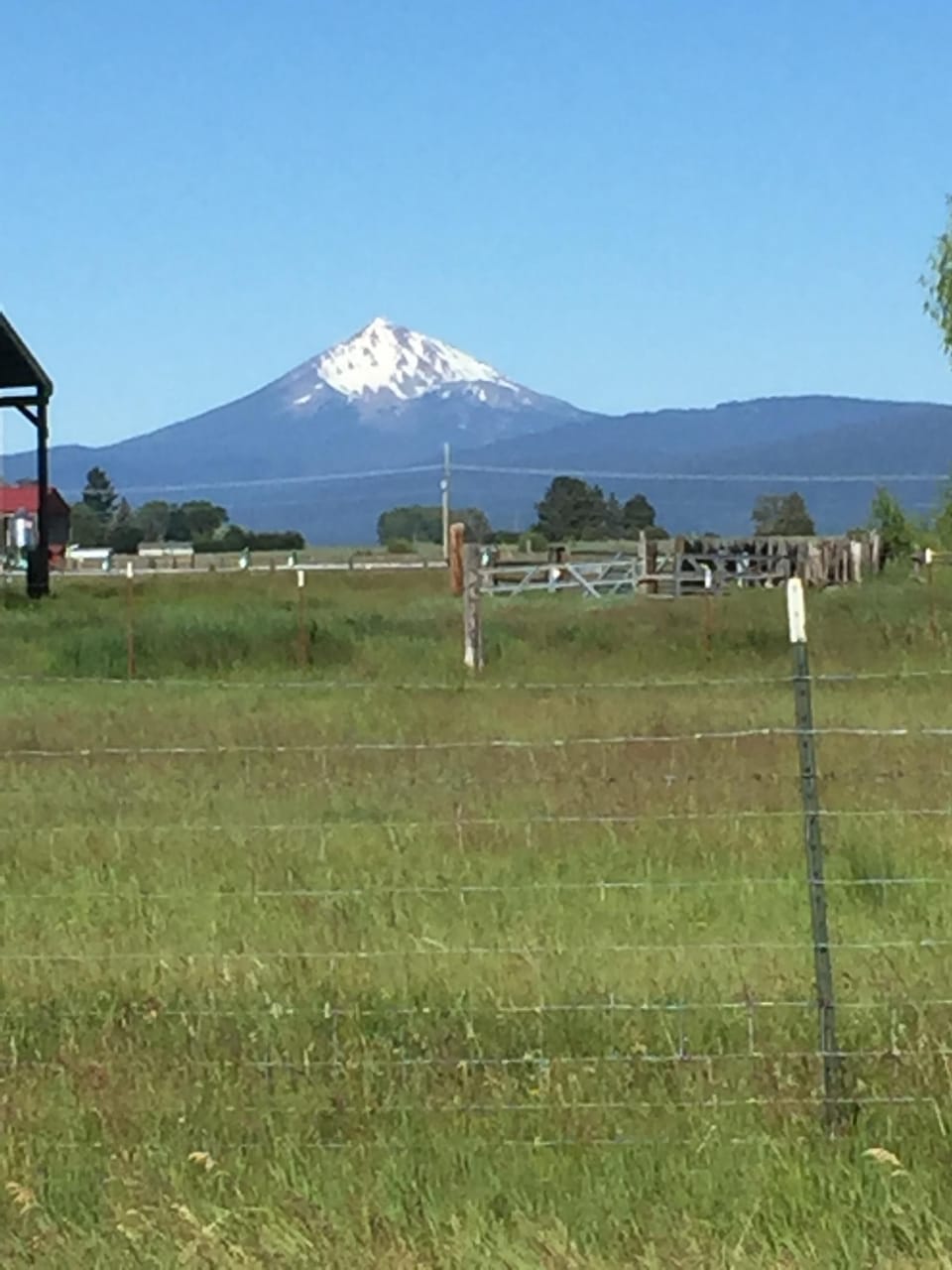 Mt, McLaughlin