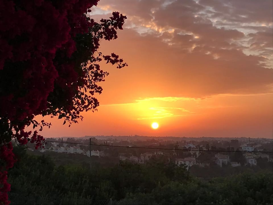 early morning view 