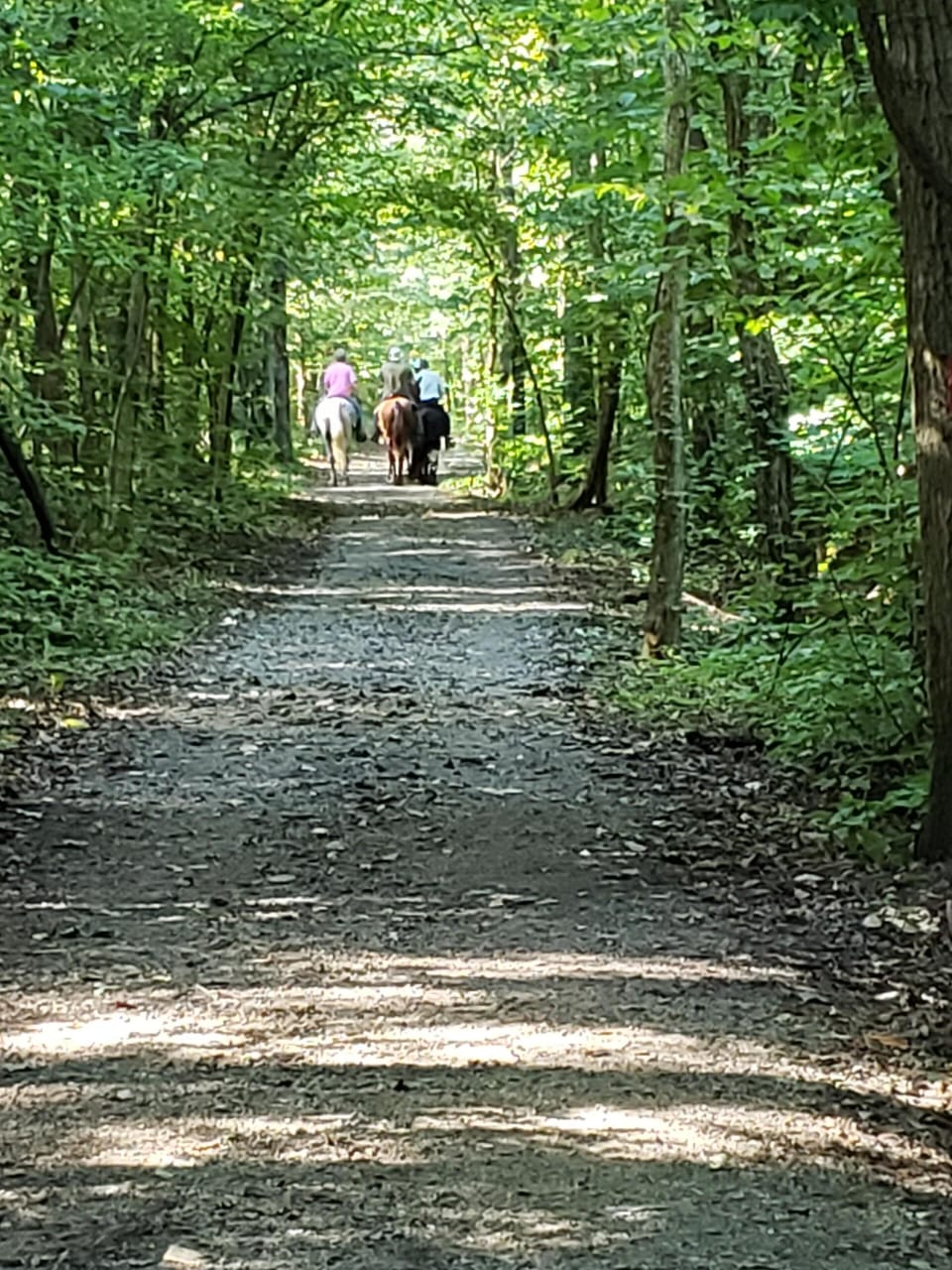 Nearby hiking at one of the many metroparks