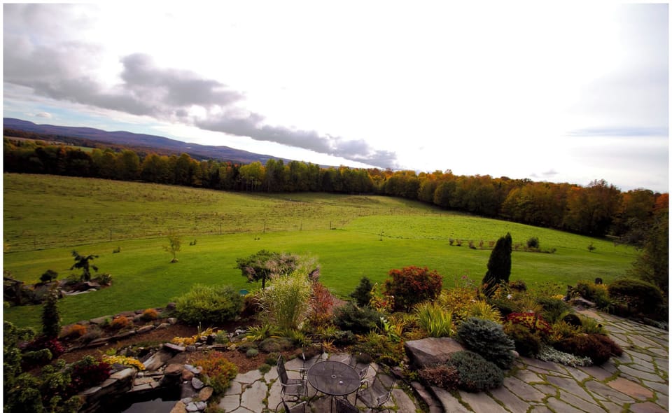 panoramic view