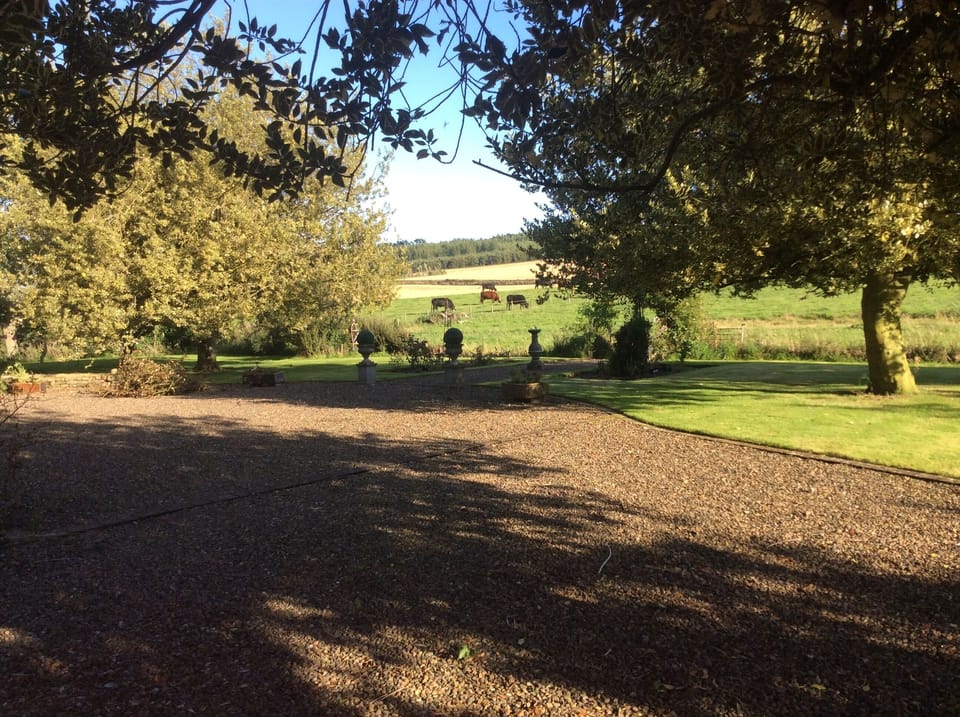 Surrounding countryside