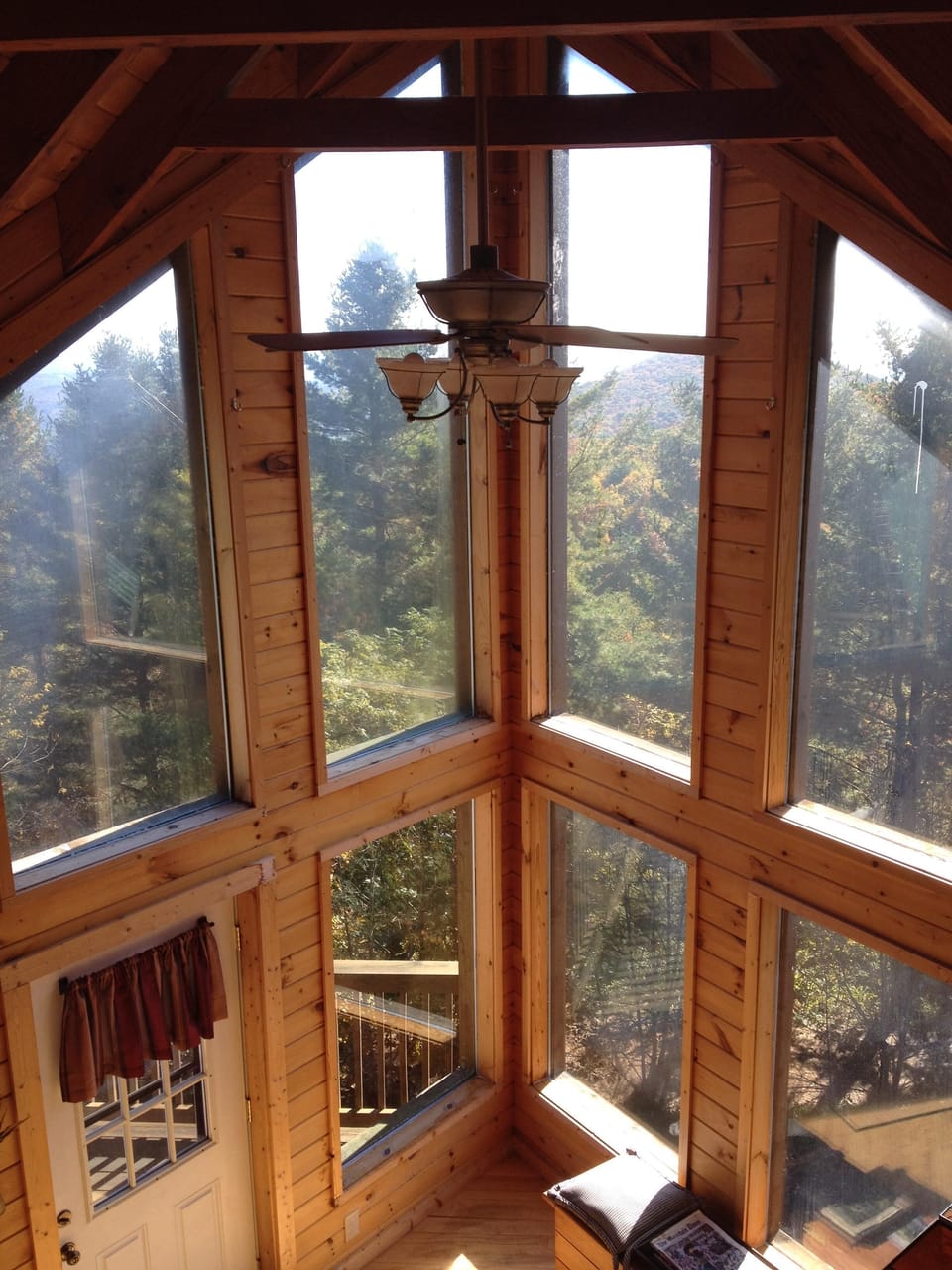 Looking from den