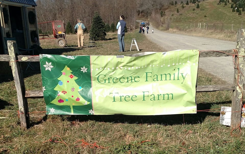 Tree Farm that is about 3 or 4 miles from cabin