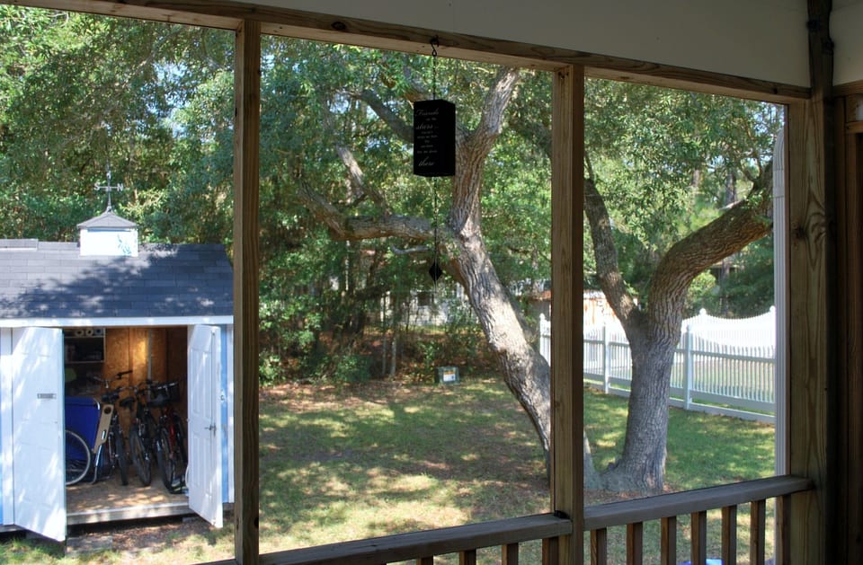 COOL DOWN UNDER THE LIVE OAK.