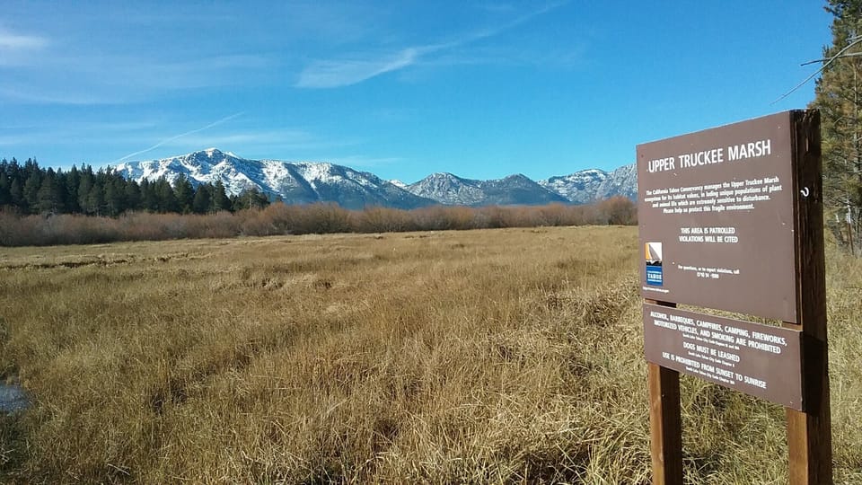 Short walk to the marsh
