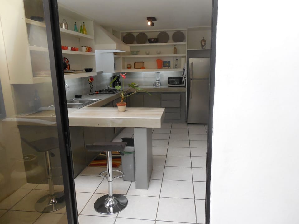 Kitchen seen from back porch
