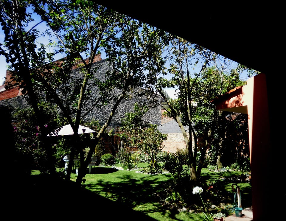 Shared Garden
