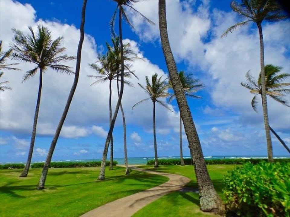 Pono Kai Resort Grounds