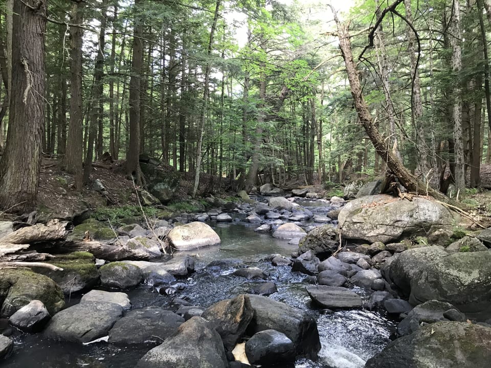 Leonard Brook as it runs through the back of the property 