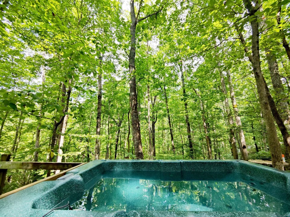 View from the tub