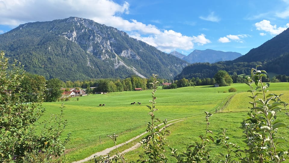 Apartment Edelweiss 49sqm, balcony, kitchenette, 2 bedrooms, 1 living room Apartment in Ruhpolding