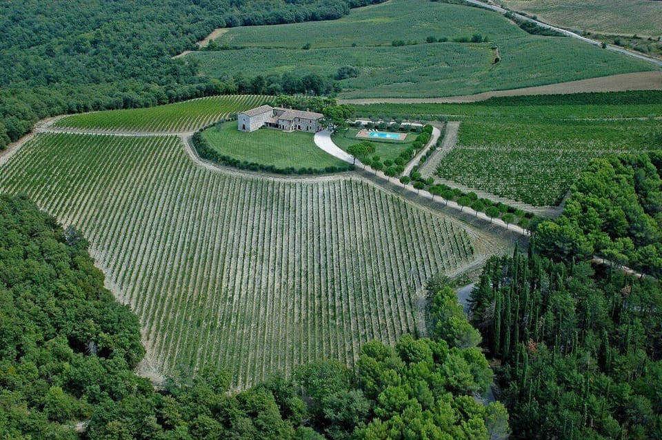 The grounds