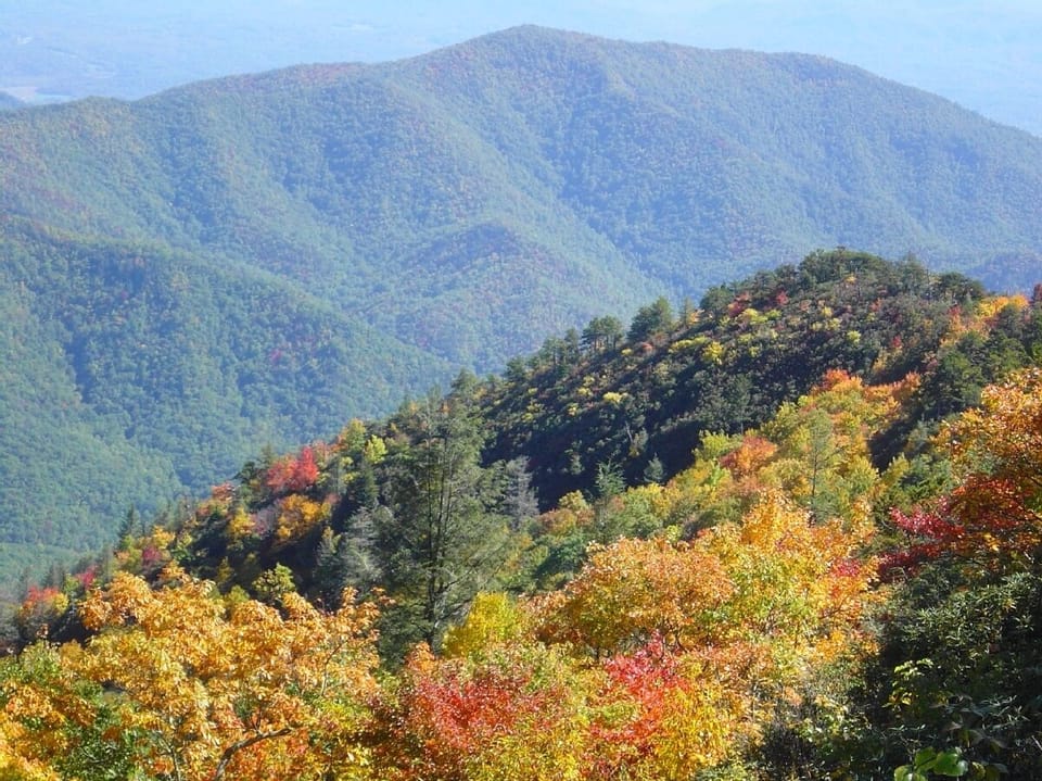 we are just off the BRP with views  like this