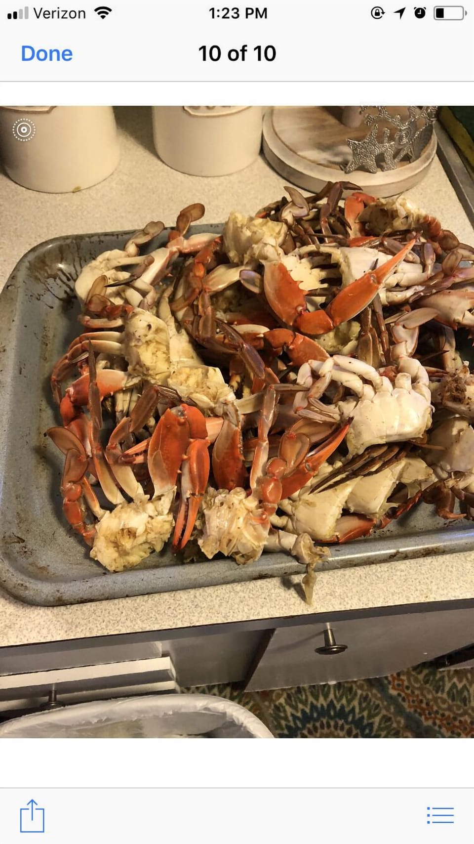 Fresh crabs right off the dock.... you can even use my crab trap!!!⚓️🦀