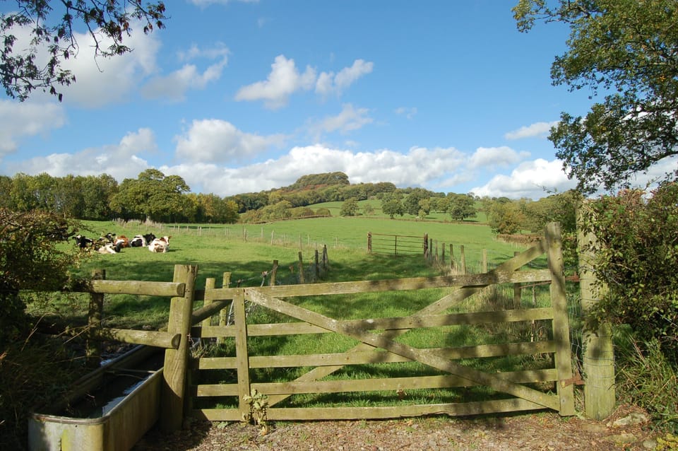 Parkland and Dumpdon Hill from Woodhayes Farm