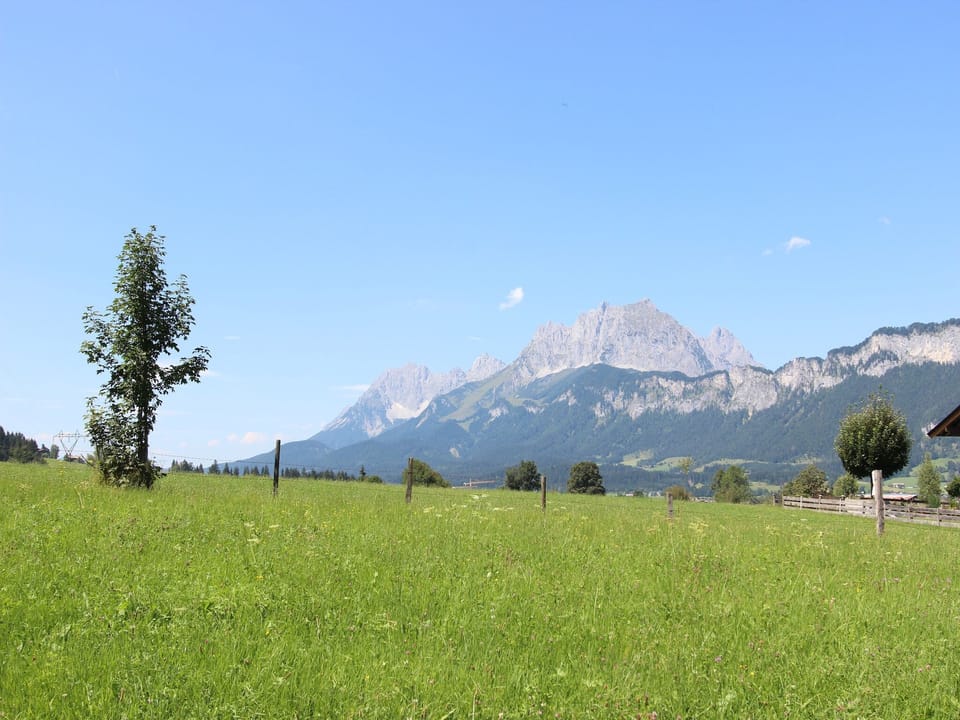 View from Holiday Home [summer]