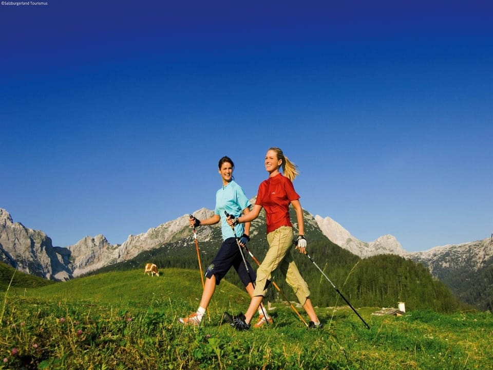 Surroundings [summer] (1-5 km)