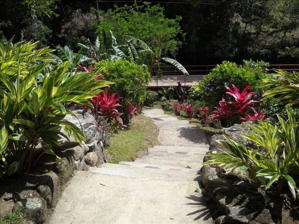 property is landscaped and has beautiful plants and fruit of all sorts 