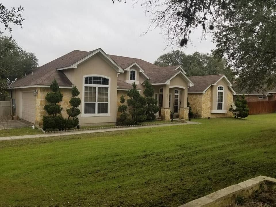 Horse view from the driveway 