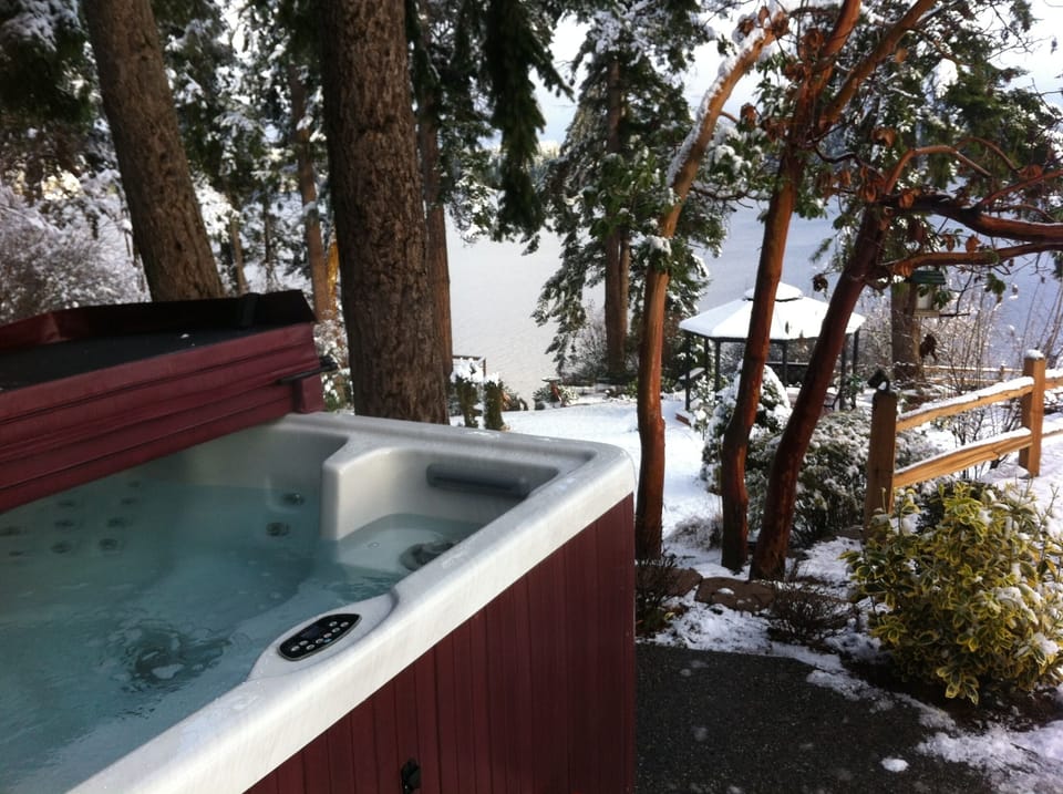 Have a hot soak and enjoy a winter scene!