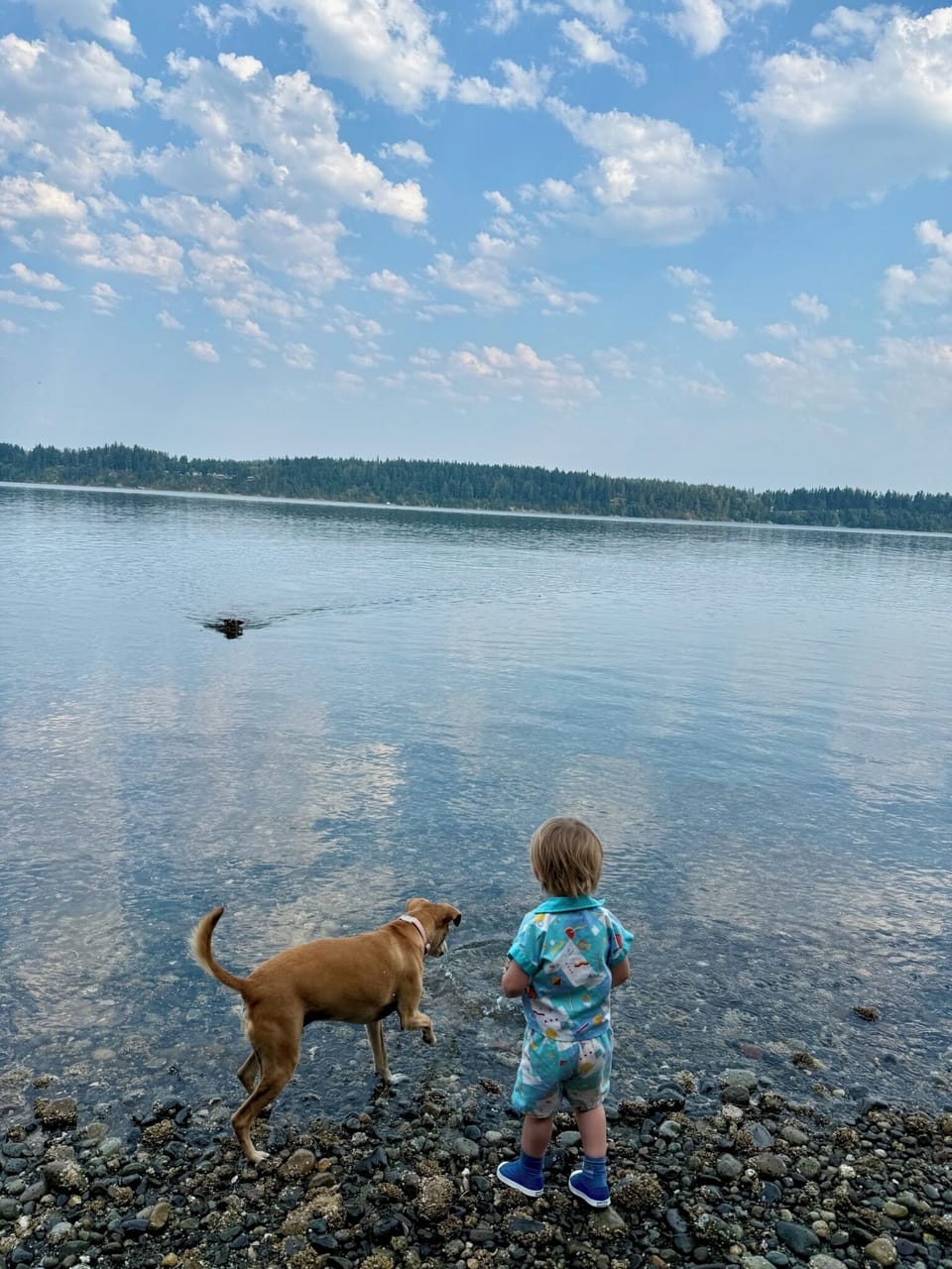 Clam dig, search for crabs, swim (if you're brave!)