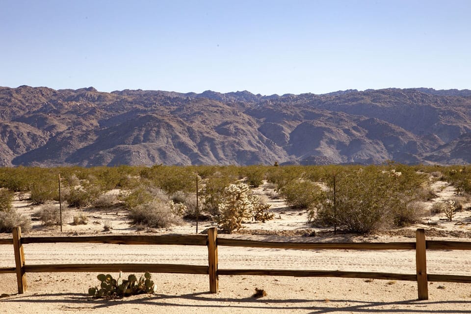 Midcentury Desert Escape House in Twentynine Palms