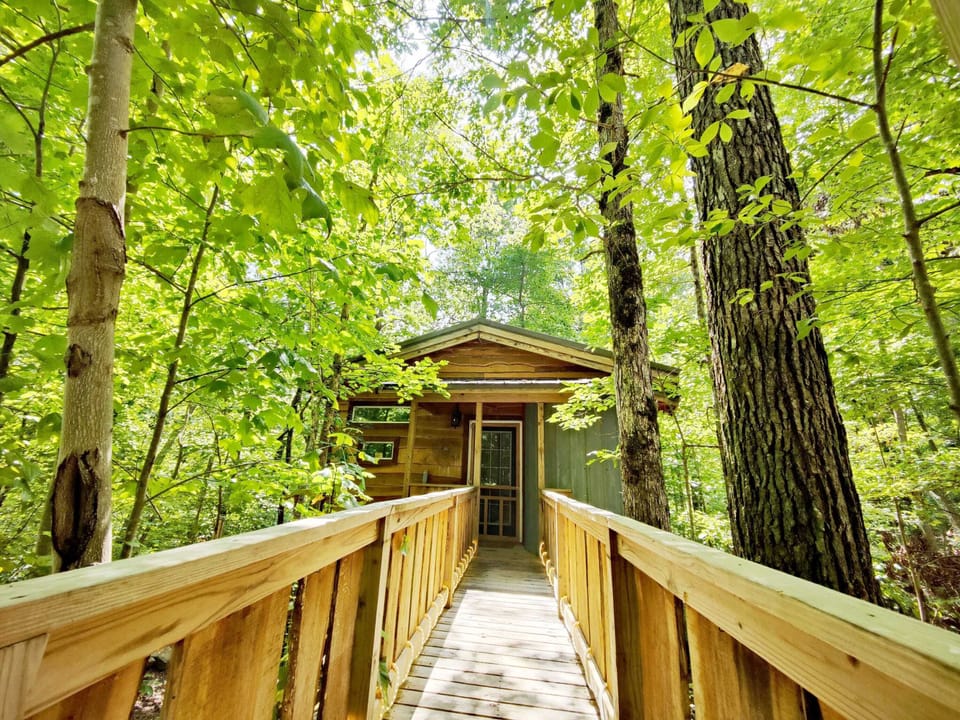 Welcome to our treehouse