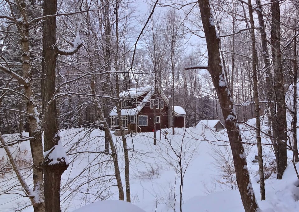 Winter Wonderland!