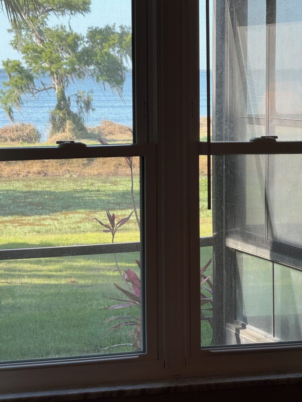 View of backyard through the bedroom window