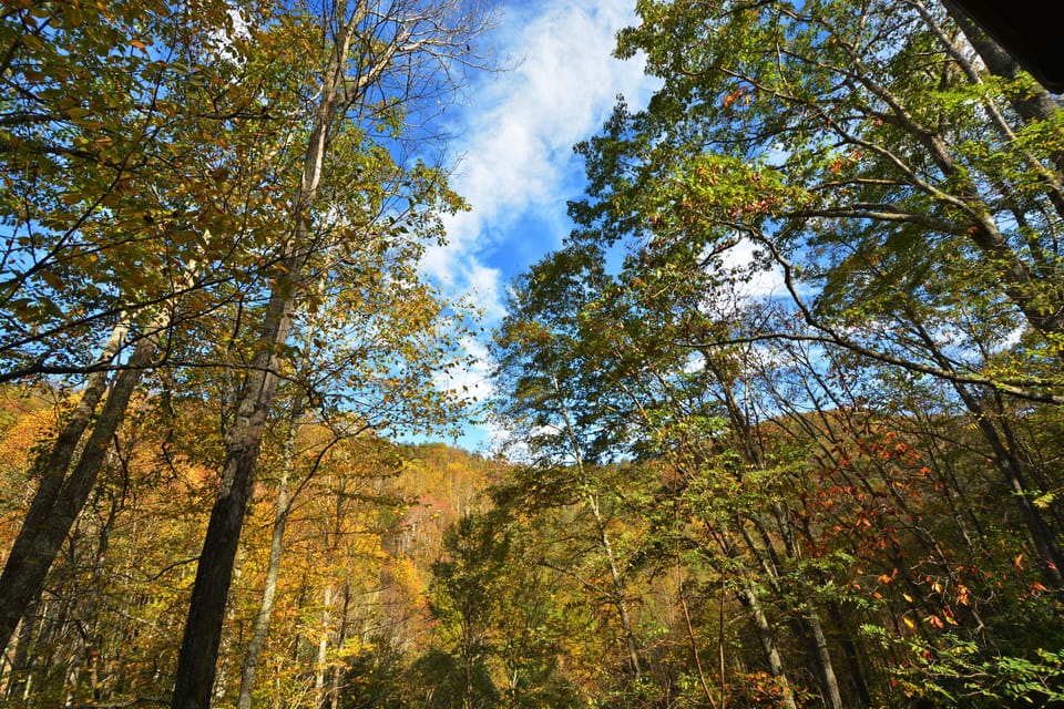 Beauty envelopes you!