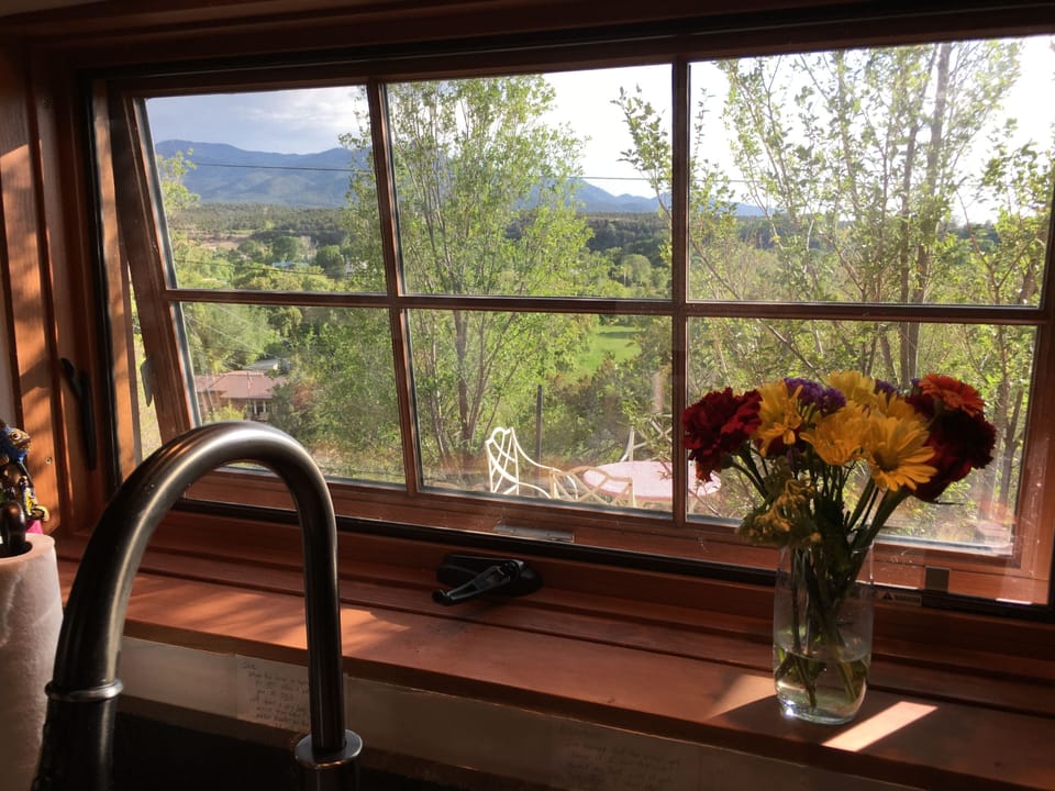 Kitchen window