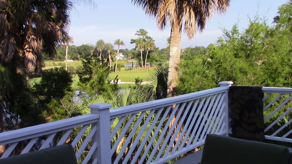 view from rear deck
