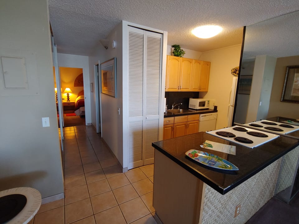 Kitchen, entry hall and bedroom